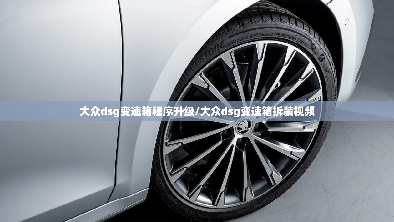 大众dsg变速箱程序升级/大众dsg变速箱拆装视频