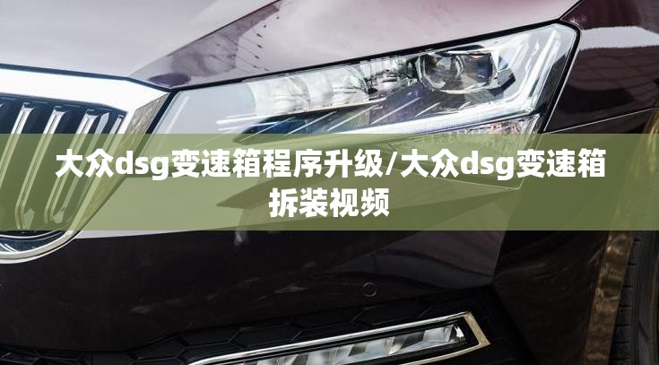 大众dsg变速箱程序升级/大众dsg变速箱拆装视频
