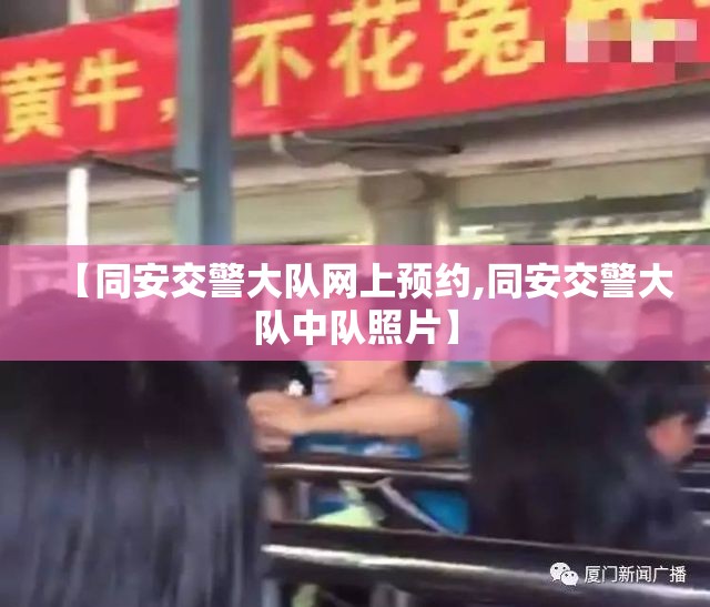 【同安交警大队网上预约,同安交警大队中队照片】