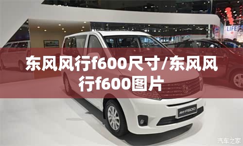 东风风行f600尺寸/东风风行f600图片 东风风行f600尺寸/东风风行f600图片