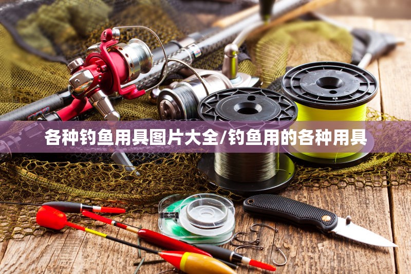 各种钓鱼用具图片大全/钓鱼用的各种用具