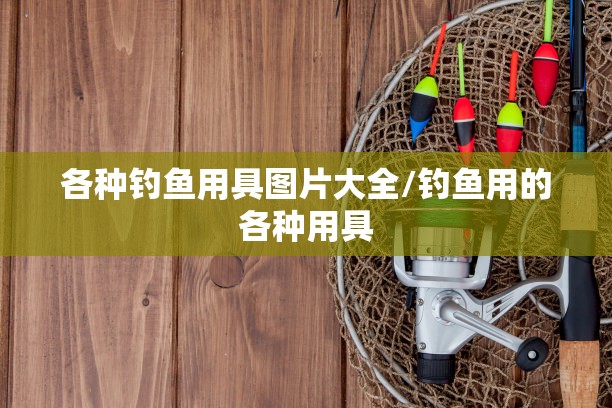 各种钓鱼用具图片大全/钓鱼用的各种用具