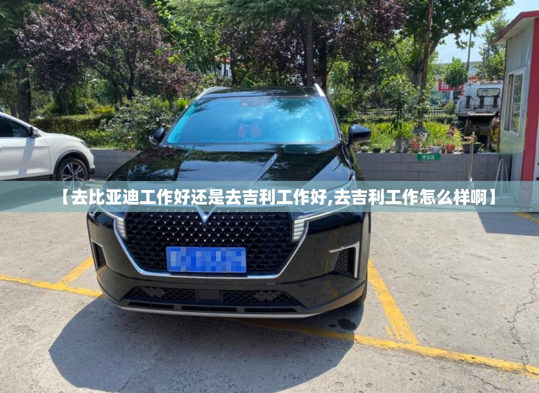 【去比亚迪工作好还是去吉利工作好,去吉利工作怎么样啊】