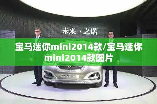 宝马迷你mini2014款/宝马迷你mini2014款图片