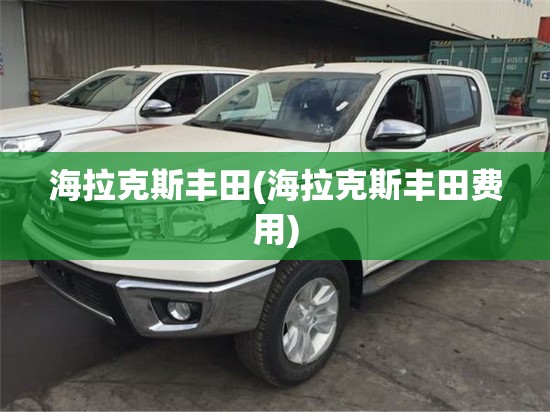 海拉克斯丰田(海拉克斯丰田费用) 海拉克斯丰田(海拉克斯丰田费用)