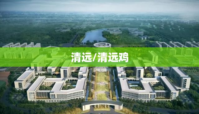 清远/清远鸡 清远/清远鸡