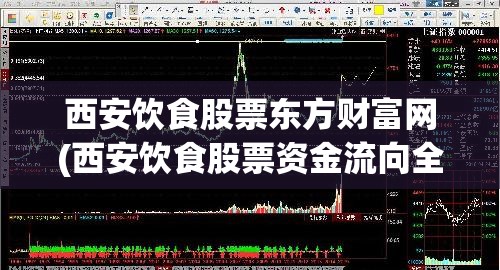 西安饮食股票东方财富网(西安饮食股票资金流向全览)