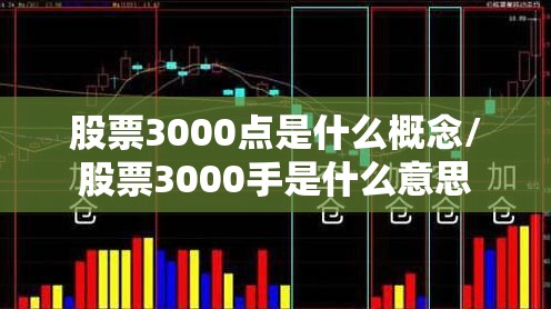 股票3000点是什么概念/股票3000手是什么意思