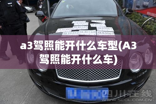 a3驾照能开什么车型(A3驾照能开什么车)