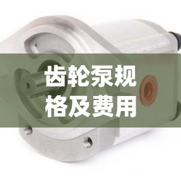 齿轮泵规格及费用(齿轮泵规格及费用参数)