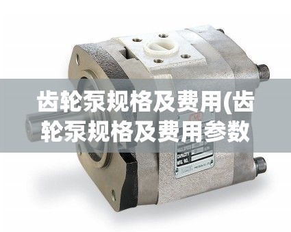 齿轮泵规格及费用(齿轮泵规格及费用参数)