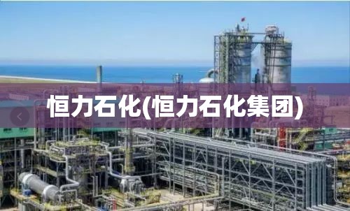恒力石化(恒力石化集团) 恒力石化(恒力石化集团)