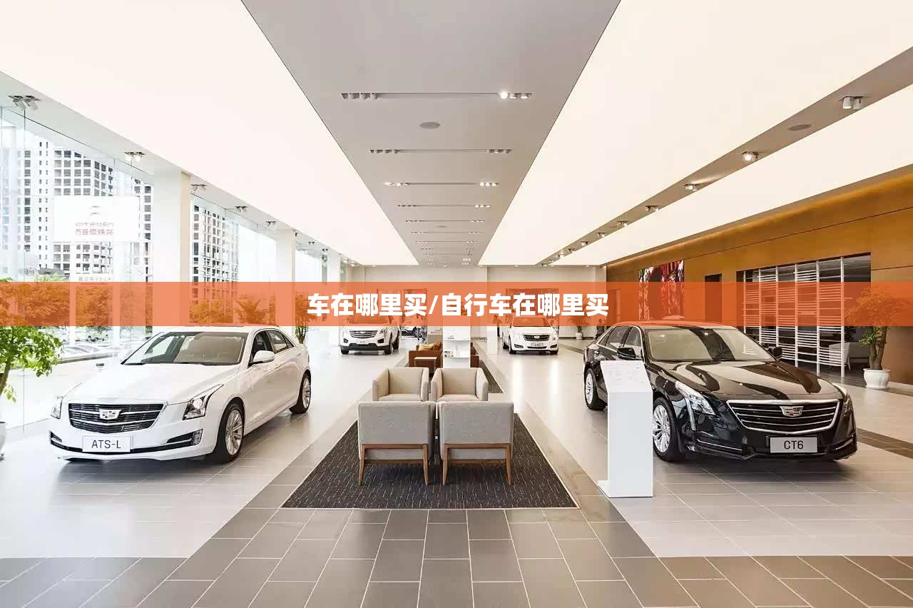 车在哪里买/自行车在哪里买