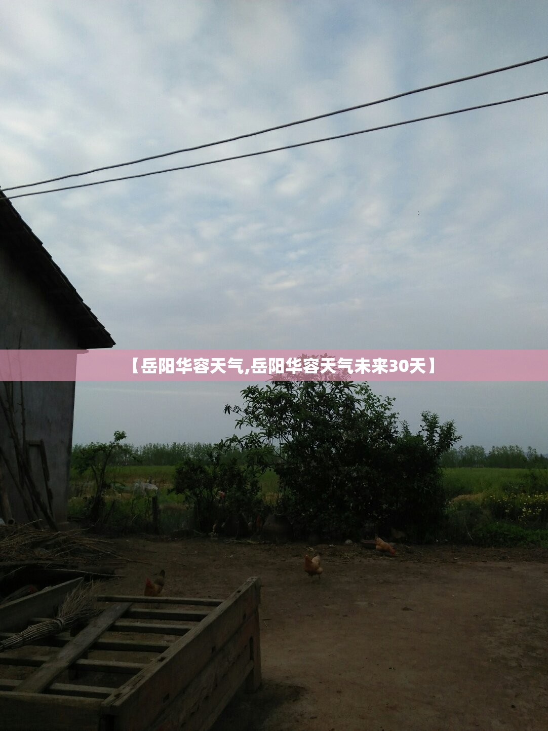 【岳阳华容天气,岳阳华容天气未来30天】 【岳阳华容天气,岳阳华容天气未来30天】