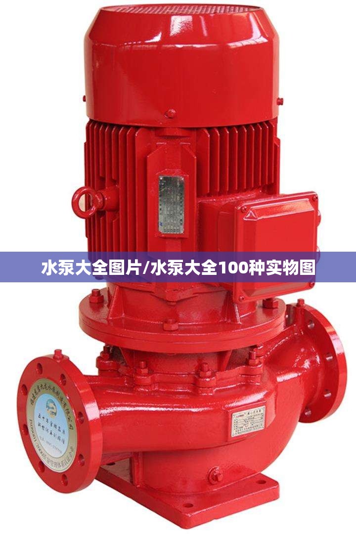 水泵大全图片/水泵大全100种实物图 水泵大全图片/水泵大全100种实物图