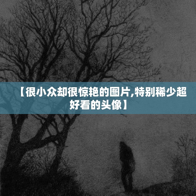 【很小众却很惊艳的图片,特别稀少超好看的头像】