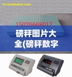 磅秤图片大全(磅秤数字图片) 磅秤图片大全(磅秤数字图片)