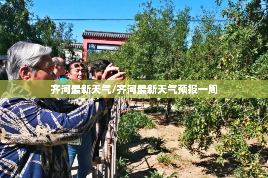 齐河最新天气/齐河最新天气预报一周