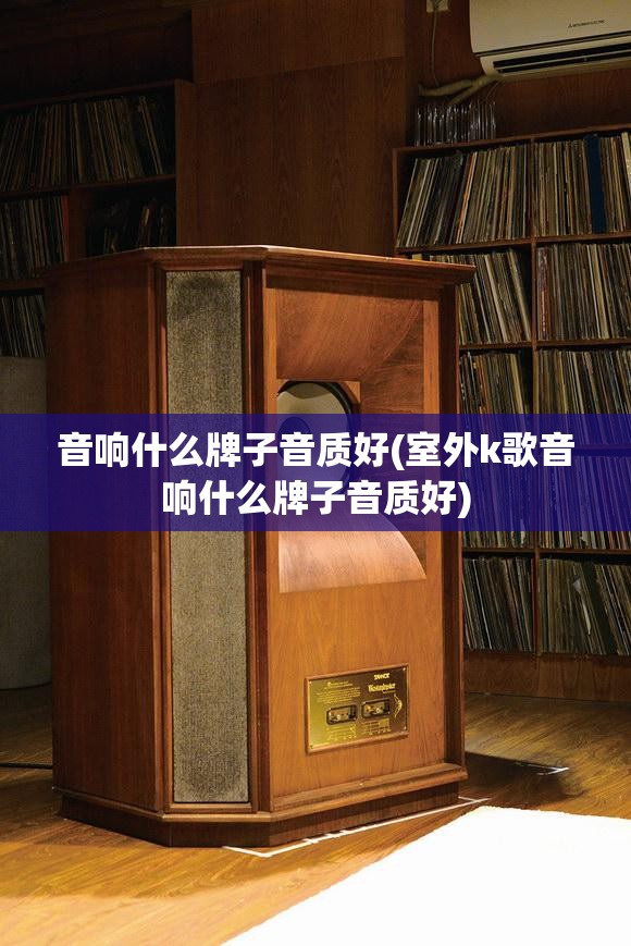 音响什么牌子音质好(室外k歌音响什么牌子音质好)