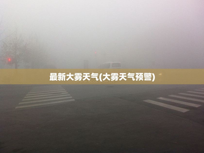 最新大雾天气(大雾天气预警)