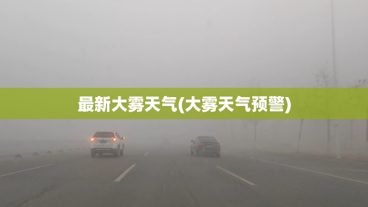 最新大雾天气(大雾天气预警)