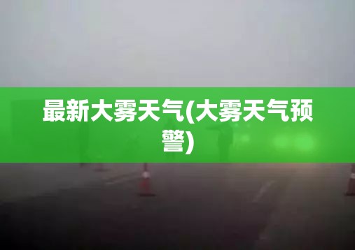 最新大雾天气(大雾天气预警)