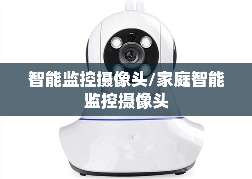 智能监控摄像头/家庭智能监控摄像头 智能监控摄像头/家庭智能监控摄像头
