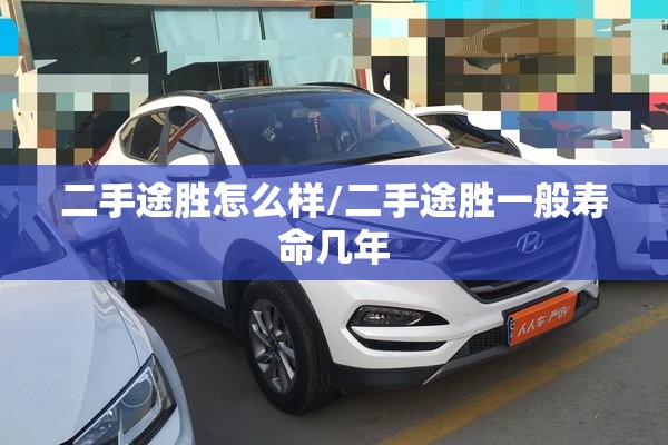 二手途胜怎么样/二手途胜一般寿命几年 二手途胜怎么样/二手途胜一般寿命几年