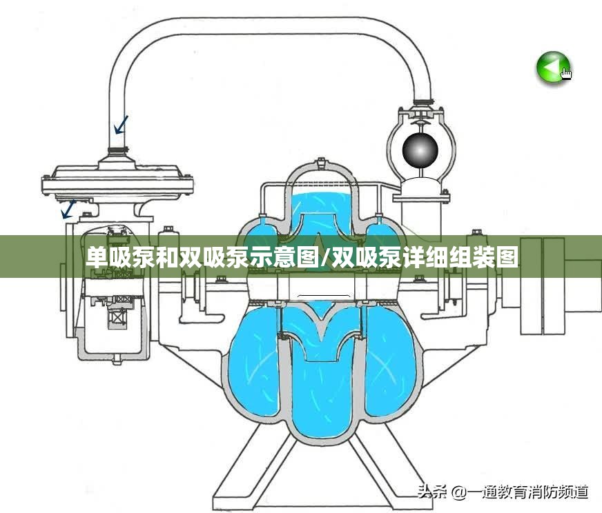 单吸泵和双吸泵示意图/双吸泵详细组装图 单吸泵和双吸泵示意图/双吸泵详细组装图