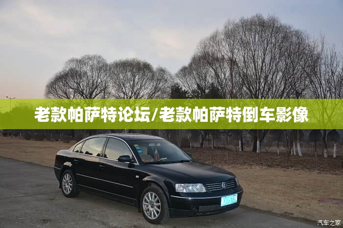 老款帕萨特论坛/老款帕萨特倒车影像