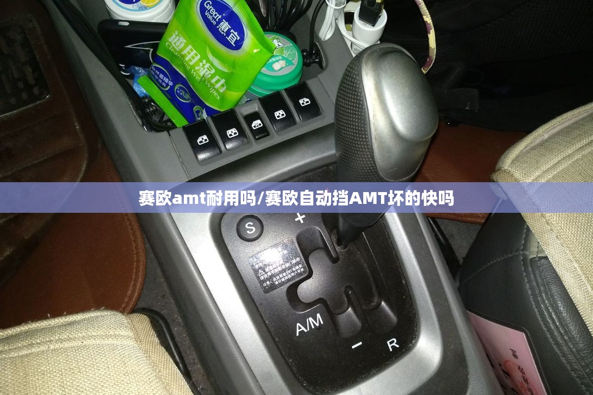 赛欧amt耐用吗/赛欧自动挡AMT坏的快吗