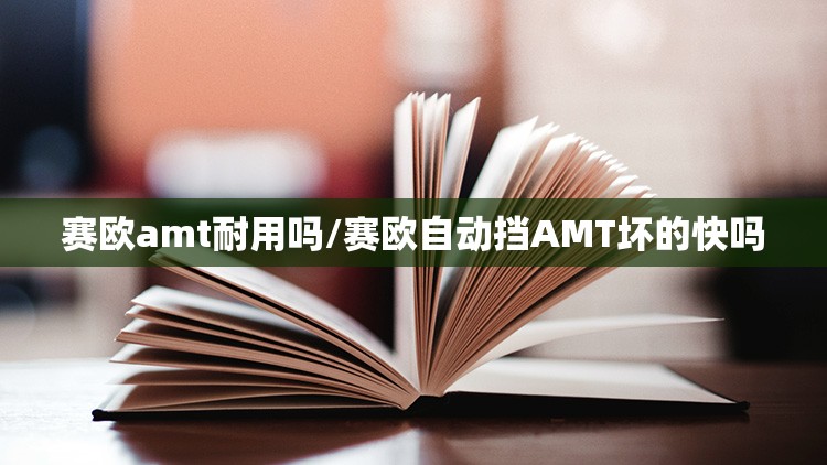 赛欧amt耐用吗/赛欧自动挡AMT坏的快吗