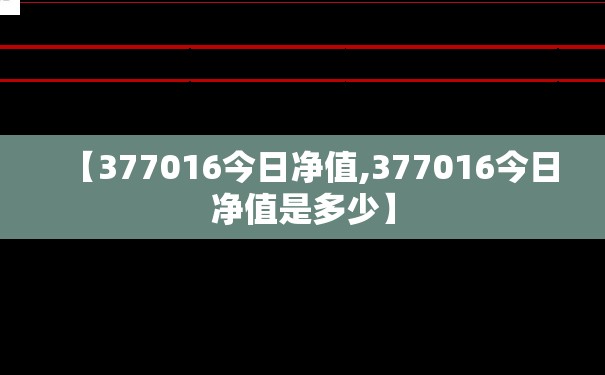 【377016今日净值,377016今日净值是多少】 【377016今日净值,377016今日净值是多少】