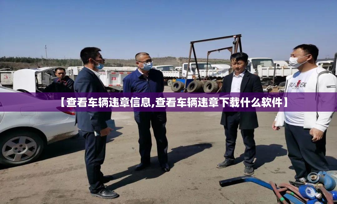 【查看车辆违章信息,查看车辆违章下载什么软件】 【查看车辆违章信息,查看车辆违章下载什么软件】