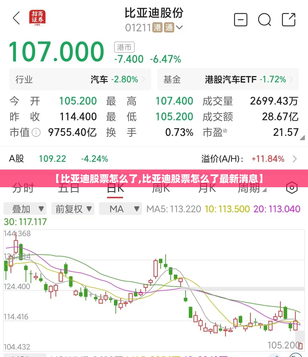 【比亚迪股票怎么了,比亚迪股票怎么了最新消息】