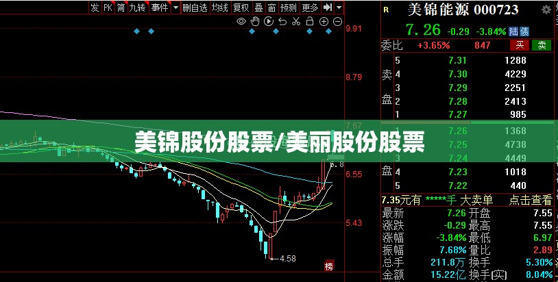 美锦股份股票/美丽股份股票 美锦股份股票/美丽股份股票