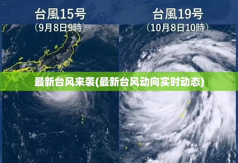 最新台风来袭(最新台风动向实时动态)