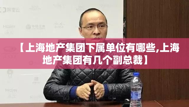 【上海地产集团下属单位有哪些,上海地产集团有几个副总裁】 【上海地产集团下属单位有哪些,上海地产集团有几个副总裁】