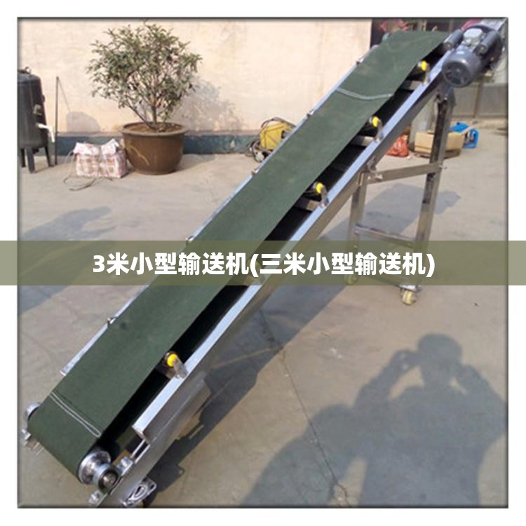3米小型输送机(三米小型输送机) 3米小型输送机(三米小型输送机)