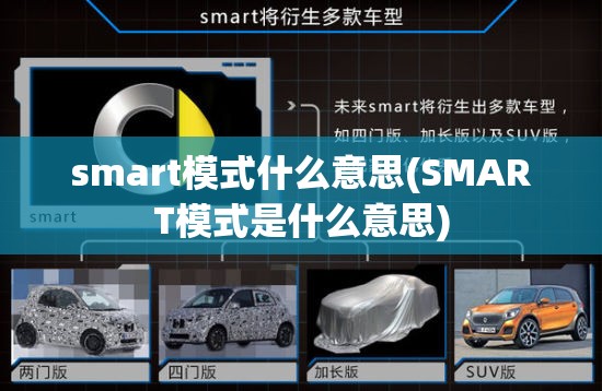 smart模式什么意思(SMART模式是什么意思)