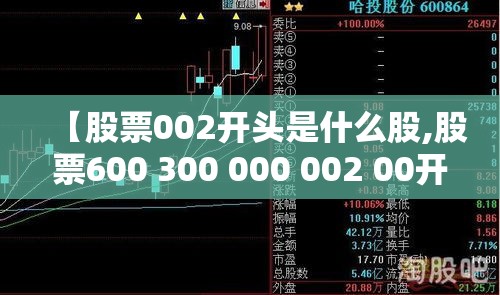 【股票002开头是什么股,股票600 300 000 002 00开头的都代表什么】 【股票002开头是什么股,股票600 300 000 002 00开头的都代表什么】