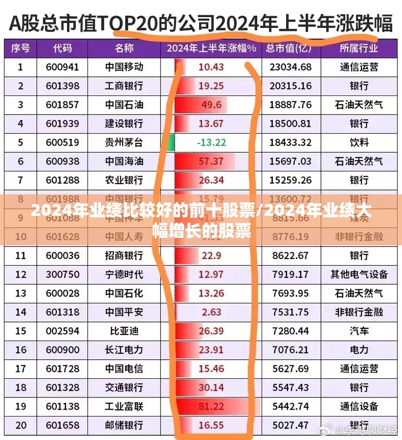 2024年业绩比较好的前十股票/2024年业绩大幅增长的股票 2024年业绩比较好的前十股票/2024年业绩大幅增长的股票