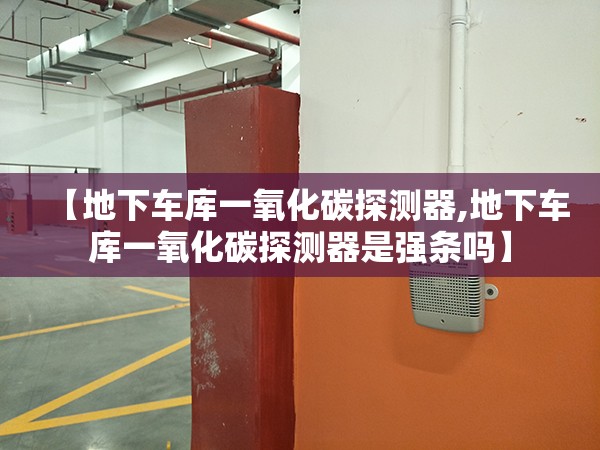 【地下车库一氧化碳探测器,地下车库一氧化碳探测器是强条吗】