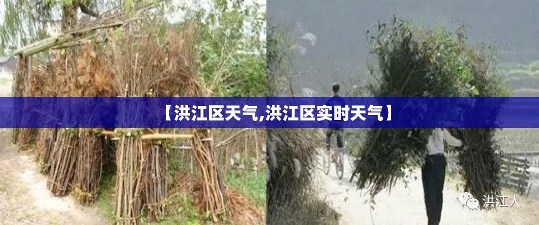 【洪江区天气,洪江区实时天气】