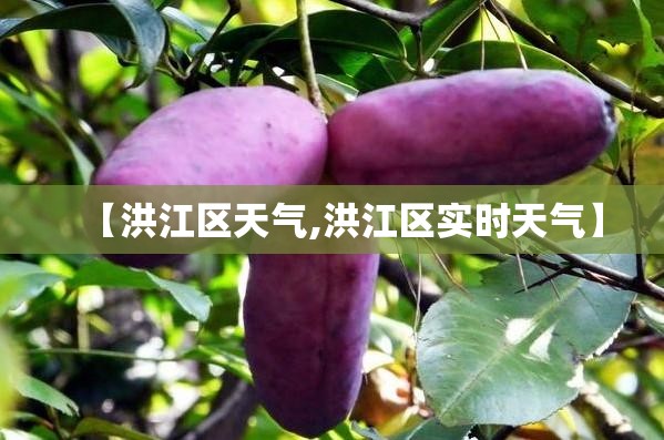 【洪江区天气,洪江区实时天气】