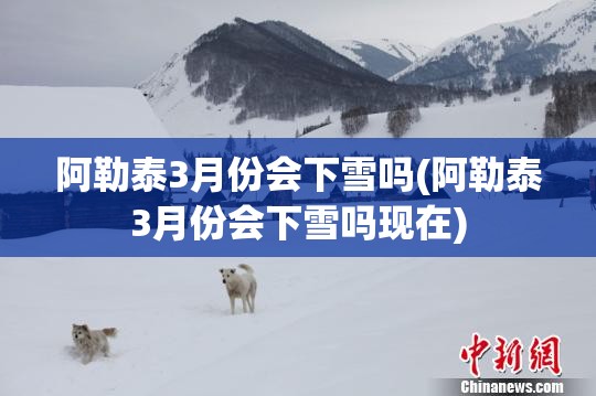 阿勒泰3月份会下雪吗(阿勒泰3月份会下雪吗现在) 阿勒泰3月份会下雪吗(阿勒泰3月份会下雪吗现在)
