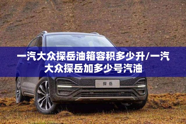 一汽大众探岳油箱容积多少升/一汽大众探岳加多少号汽油 一汽大众探岳油箱容积多少升/一汽大众探岳加多少号汽油