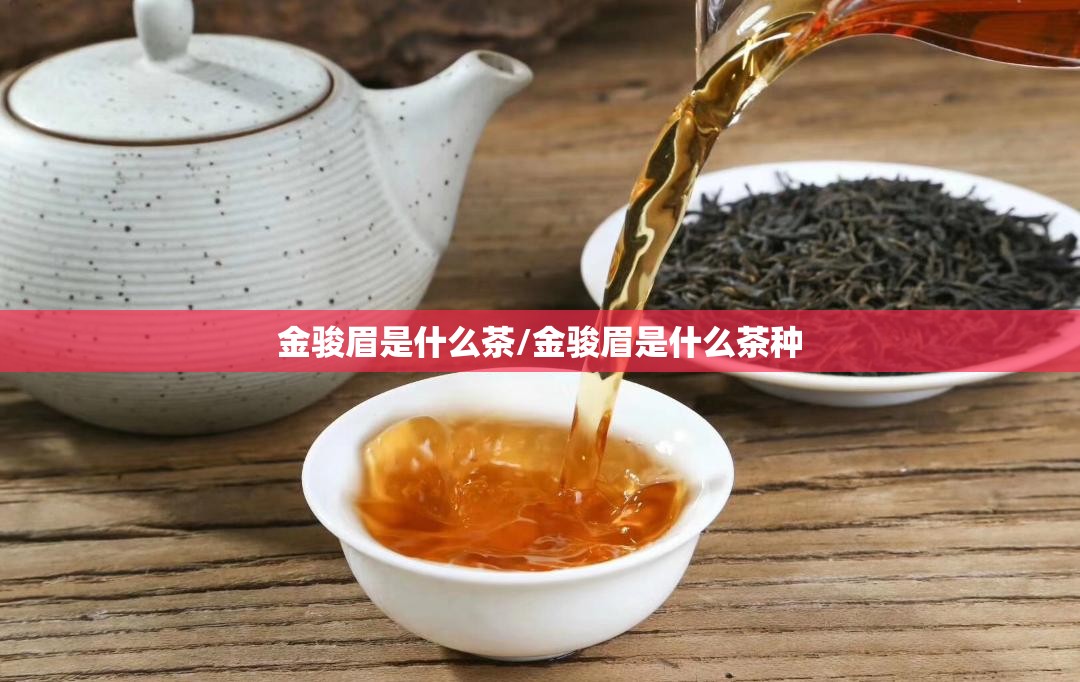 金骏眉是什么茶/金骏眉是什么茶种 金骏眉是什么茶/金骏眉是什么茶种