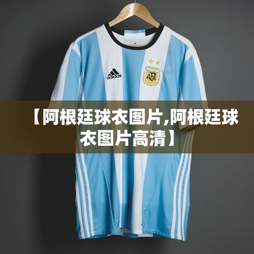 【阿根廷球衣图片,阿根廷球衣图片高清】