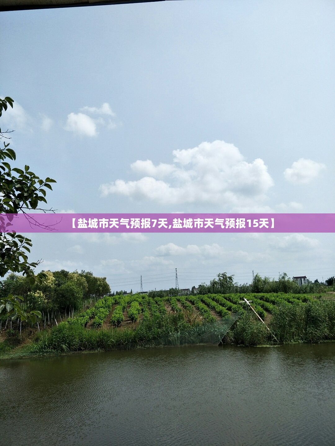 【盐城市天气预报7天,盐城市天气预报15天】 【盐城市天气预报7天,盐城市天气预报15天】